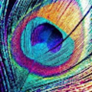 Meet your Posher, Nil